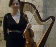 Violino e arpa