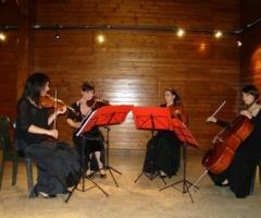 Musica classica per il banchetto nuziale