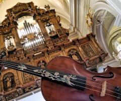 Organista Cerimonia Emozioni Uniche - Musica per le nozze