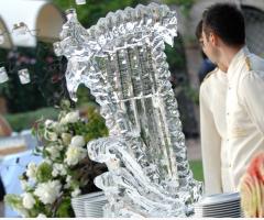 Arpa di ghiaccio per il banchetto di nozze