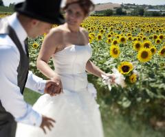 Tra i girasoli - Gianluca Rossetti