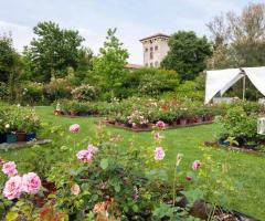 Il giardino botanico