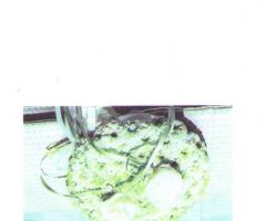 Manuela Caponi Eventi - Organizzazione dell nozze