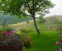 Agriturismo il Melo Rosso - Panorama delle colline