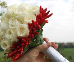 rose e...peperoncini!