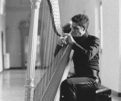 Suono dell'arpa per l'intrattenimento musicale al matrimonio