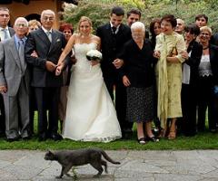 Foto in stile reportage degli sposi con gli invitati
