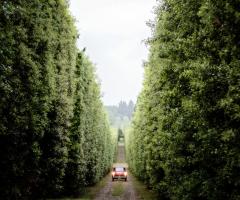 Locations, Automobili , Fotografi, Accompagnamento musicale, DJ, Luci, Fuochi d'Artificio...