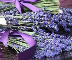 Flora Decor - Segnaposto con lavanda
