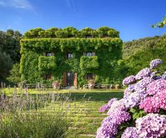 TERRAEVENTS Lifestyle - Location suggestive