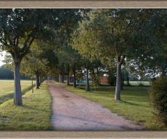 Giardino per il ricevimento di matrimonio