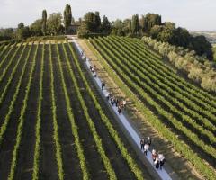 Matrimonio con rito religioso in una chiesa all'interno di un vigneto - Divinamente Eventi