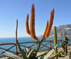 Giardino botanico - Hotel Botanico San Lazzaro