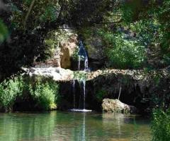 Antica Mola - Laghetto della location