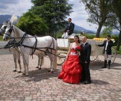 Sposi in posa fotografica con la carrozza con cavalli sullo sfondo