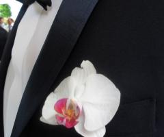 Bottoniera orchidea - Sogni Confettati