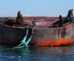Viaggio di nozze in Patagonia