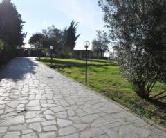 Casale de Sole - Viale d'ingresso al casale