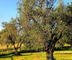 Giardino di Zaiera Resort, hotel per matrimoni a Solarino (Siracusa)