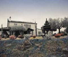 Il casolare dal bosco