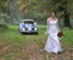 Nel parco - Piero Beghi Photography