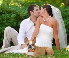Fabrizio Maggio Dog Trainer - Il matrimonio tutti insieme