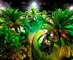 il giardino di notte