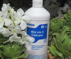 LA VIS di Simona Trentini - Pulizia approfondita casa per rinfreschi di eventi