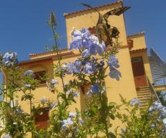 Valle Dorata - appartamento La Panoramica