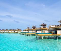 Mosquito Travels - L'organizzazione del viaggio di nozze a Pisa