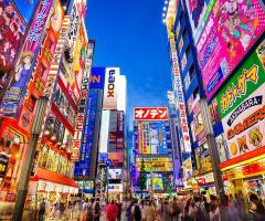 .The Freeway - Tokyo