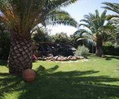 Giardino per il ricevimento di matrimonio all'aperto