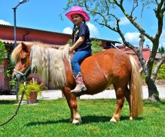 Maneggio all'esterno.