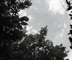 Hop-e - Intro bianco e nero