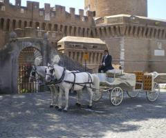 Splendida carrozza trainata da due cavalli bianchi