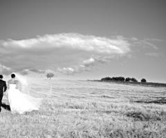 Gli sposi passeggiano nella natura