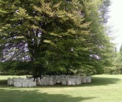 Ricevimento di matrimonio in giardino