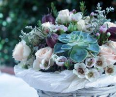 Ilaria Marrocco Fiori - Composizione