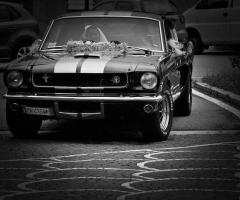 Dany auto Albani - Mustang fastback v8 1965