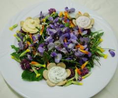 Il Frutto Permesso - L'Antipasto