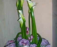 Organizzazione matrimonio a Bologna