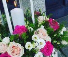 Catina Flora - Composizione con lanterna