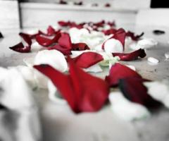 Petali rossi e bianchi sparsi sul pavimento