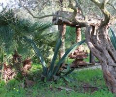 Giardino della tenuta per matrimoni