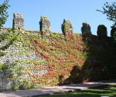 Mura merlate del castello