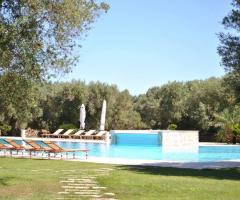 Tenuta Monacelli - La piscina vista da lontano