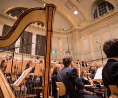 Marco organista e violinista - Musica per il matrimonio a Vercelli