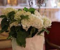 Ortensie. Matrimonio con piante.
 - L'angolo Fiorito