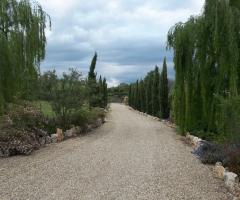 Viale d'ingresso