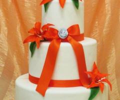 Wedding Cake - Dolci Passioni